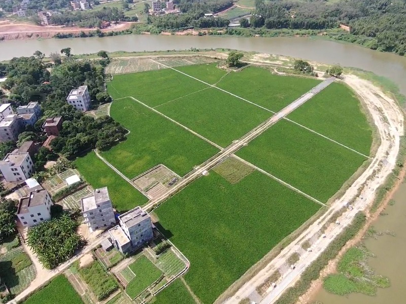 水田地块图.jpg