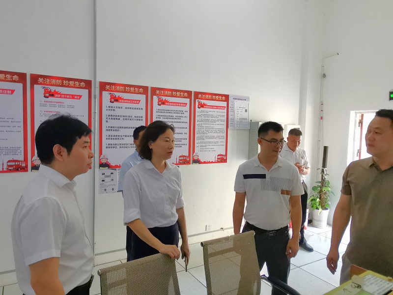 4、集团党委委员、纪委书记、监察专员陈国秀到茂名高新科技产业园督导检查.jpg